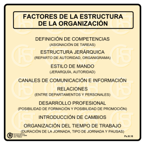 Nueva ventana:Factores de la estructura de la organización (pdf, 23 Kbytes)