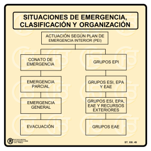 Nueva ventana:Situaciones de emergencia, clasificación y organización (pdf, 21 Kbytes)