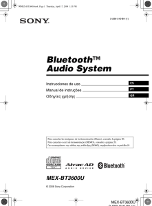 Bluetooth Audio System ™