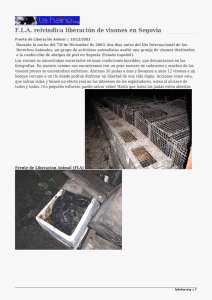 F.L.A. reivindica liberación de visones en Segovia