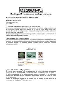 Mycoplasma Publicado en: Periódico Motivar, febrero 2010