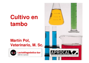 Cultivo en tambo Martín Pol, Veterinario, M. Sc.