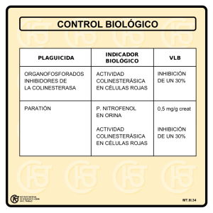 Nueva ventana:Control biológico (pdf, 25 Kbytes)