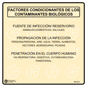 Nueva ventana:Factores condicionantes de los contaminantes biológicos (pdf, 23 Kbytes)