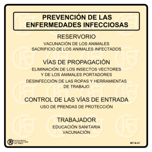 Nueva ventana:Prevención de las enfermedades infecciosas (pdf, 23 Kbytes)