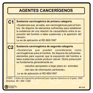 Nueva ventana:Agentes cancerígenos (pdf, 21 Kbytes)