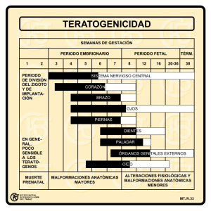 Nueva ventana:Teratogenicidad (pdf, 24 Kbytes)