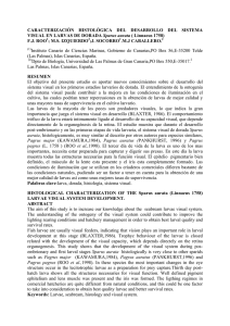 Nacional_ICCM99.pdf
