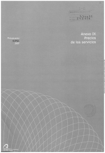 Anexo IX.pdf