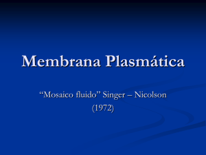 Membrana Plasmática (1)