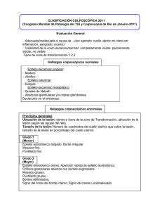 CLASIFICACION COLPOSCOPICA 2011.pdf