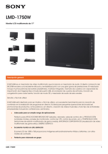 LMD-1750W Monitor LCD multiformato de 17&#34;