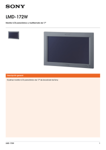 LMD-172W Monitor LCD panorámico y multiformato de 17&#34;