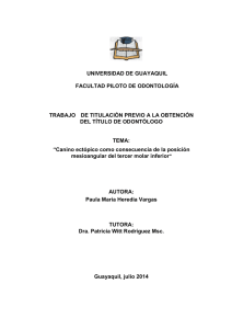HEREDIApaula.pdf