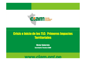 Crisis e Inicio de los TLC:  Primeros Impactos Territoriales Victor Galarreta
