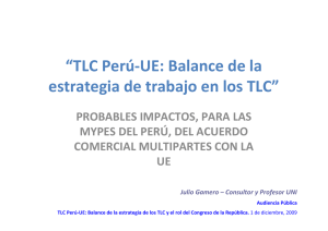 “TLC Perú-UE: Balance de la estrategia de trabajo en los TLC”