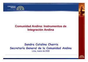 Comunidad Andina: Instrumentos de Integraci ó n Andina