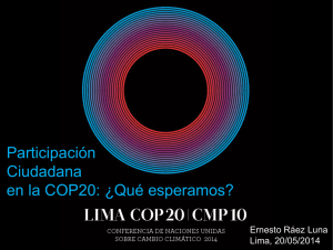 Participación Ciudadana en la COP20: ¿Qué esperamos? Ernesto Ráez Luna