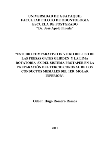 ROMERO RAMOS previa.pdf