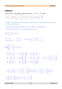 Examen de matrices y determinantes . Curso 2009/2010