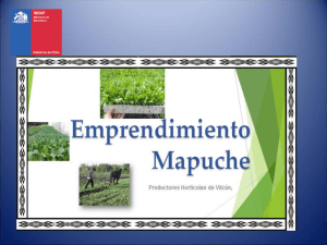 Emprendimiento Mapuche. Productores hortícolas de Vilcún.