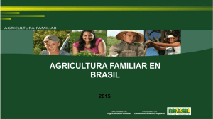 Agricultura familiar en Brasil.Secretaría de Agricultura Familiar.