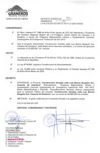 Decreto 88 Construccion Veredas Calle L B Borgoño Sur 20140110 14491008 0026