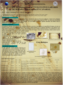 PARASITONacio2003.pdf