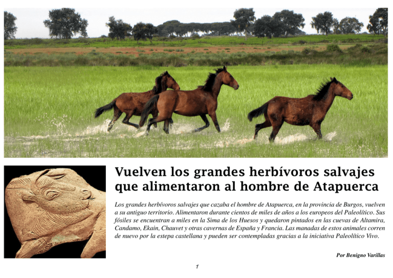 Enlace Al PDF Sobre El Plan Paleol tico Vivo
