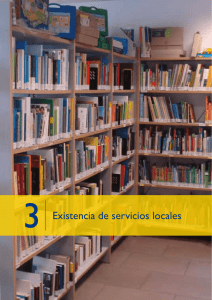 3 Existencia de servicios locales