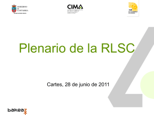 plenario junio 2011.pdf