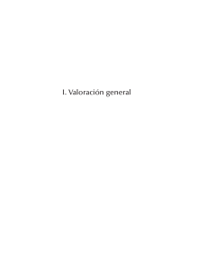 Valoraci&oacute;n general 2007
