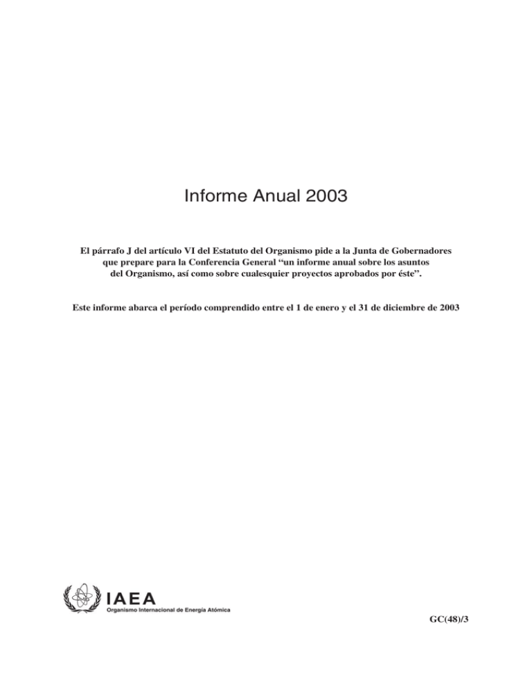 13aiea_informe anual 03