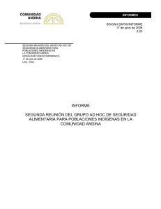 SG/GAH.SAPI/II/INFORME 17 de junio de 2008 2.22