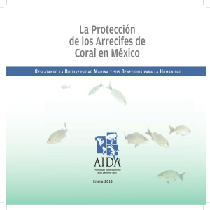 protection of corals in Mexico