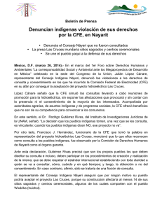 Boletín_Denuncian violaciones por CFE_27032014.pdf