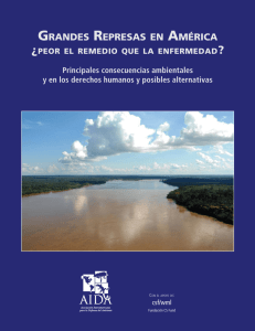 InformeAIDA_GrandesRepreseas_BajaRes.pdf