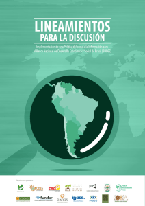 lineamientos_discusion_politica_acceso_informacion_BNDES.pdf