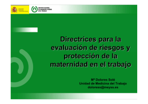 "Directrices para la evaluaci n de riesgos y protecci n de la maternidad en el trabajo" (pdf, 2.6 MB)
