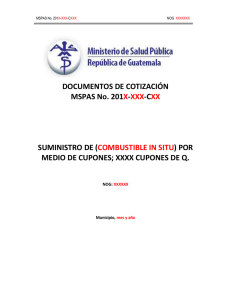 BASES  COMBUSTIBLE IN SITU (Renglón 262)