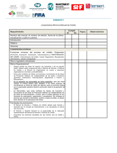 Formato 7 Lineamientos Mínimos Manual de Crédito.doc