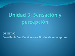 Unidad 3 receptores sensoriales