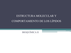 ESTRUCTURA MOLECULAR Y COMPORTAMIENTO DE LOS LÍPIDOS BIOQUÍMICA II