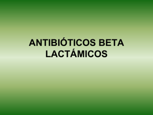antibiticos beta lactmicos