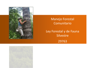 Manejo Forestal Comunitario Ley Forestal y de Fauna Silvestre