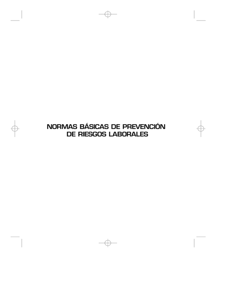 Normas básicas de prevención de riesgos laborales