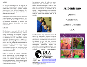 OLA | Organización Latinoamericana de Albinismo