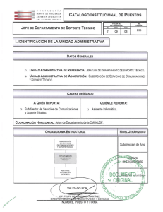 JEFE DE DEPARTAMENTO DE SOPORTE TÉCNICO