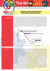 Wine Expert_Coinoculación con bacterias enológicas seleccionadas