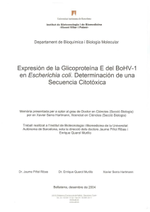 Expresión de la Glicoproteína